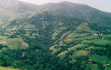Belleme – Kazma – Çarpma – Ehyalama (Gübreleme)