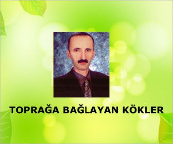 Geçmişten Geleceğe Köprü
