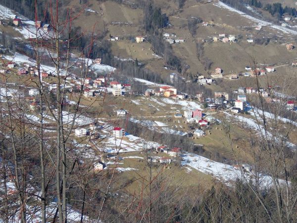 Geyikli – Ocak – 2014